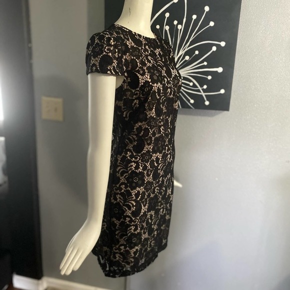 NWT - Ivy & Blu Women's Lace Dress W/ Cap Sleeve Dress 6 - Picture 5 of 8